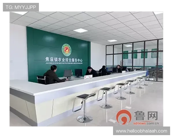 lt乐投客服服务体系，全天候专业团队为用户提供及时高效的咨询与帮助