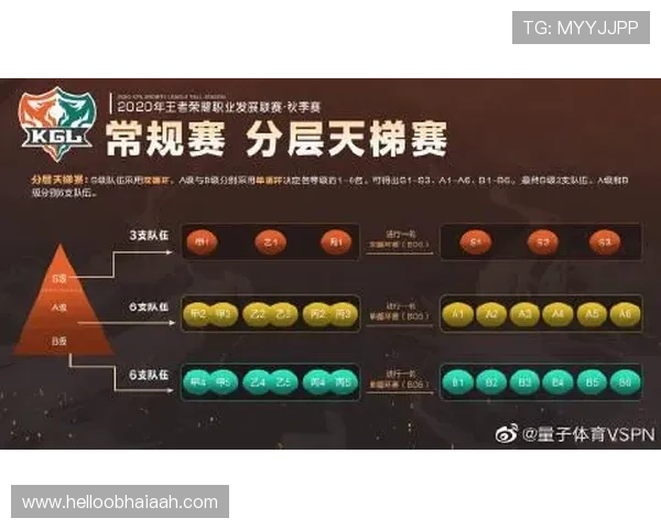 乐竞体育app官网下载安装后如何设置个人偏好，提升使用体验的实用技巧